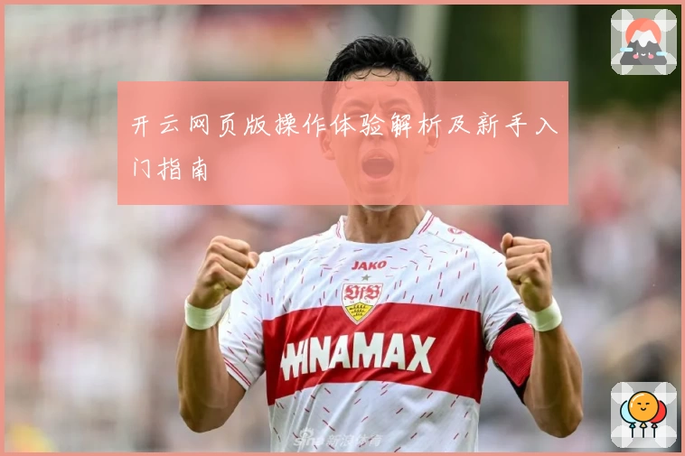 开云网页版操作体验解析及新手入门指南