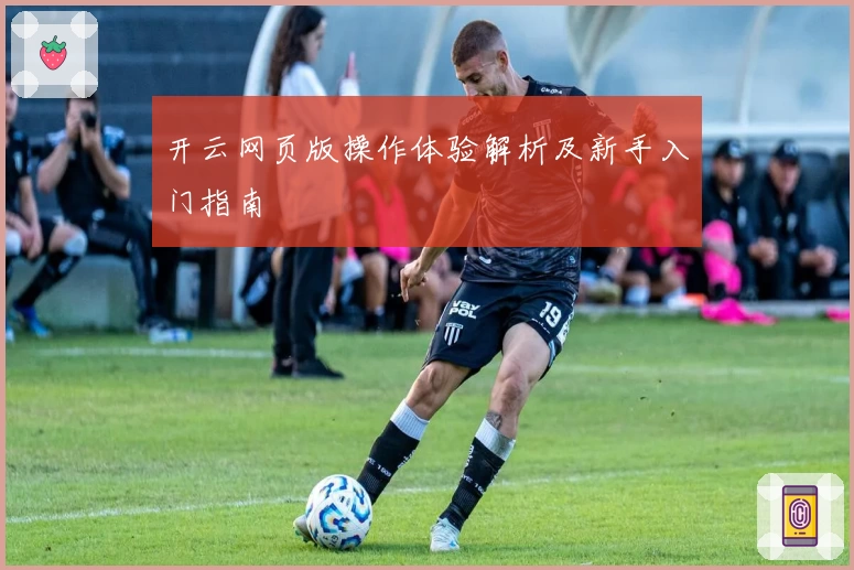 开云网页版操作体验解析及新手入门指南